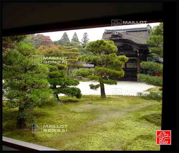 jardins-du-japon-kyoto-automne-2007