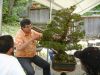 demonstration-bonsai-new-york-mai-2008
