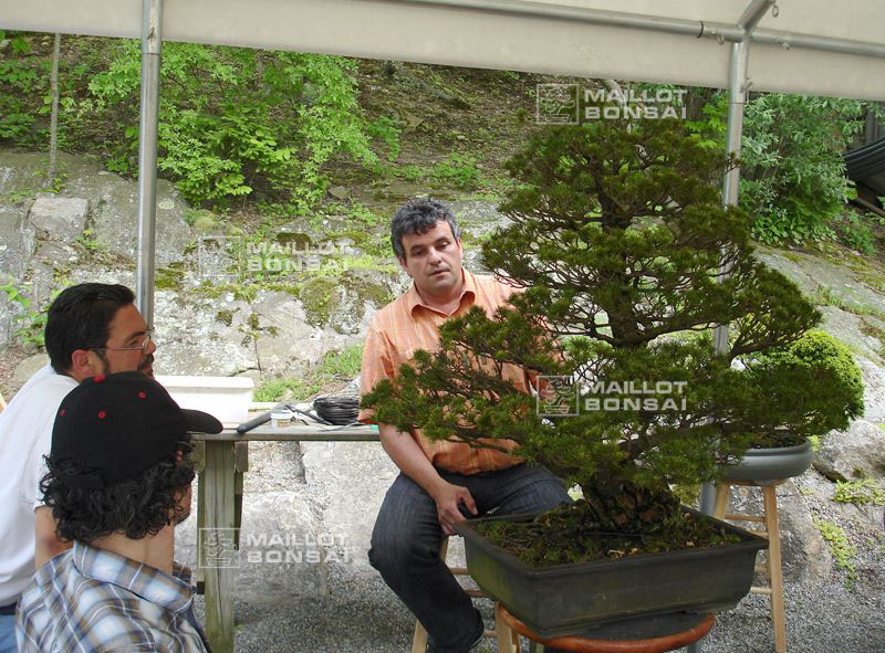 demonstration-bonsai-new-york-mai-2008