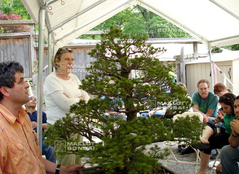 demonstration-bonsai-new-york-mai-2008