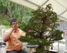 a-bonsai-demonstration-by-guy-maillot-in-new-york