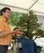 a-bonsai-demonstration-by-guy-maillot-in-new-york