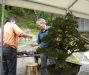 demonstration-bonsai-new-york-mai-2008