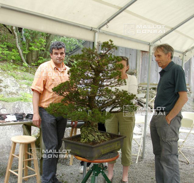 demonstration-bonsai-new-york-mai-2008