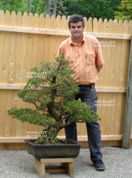 demonstration-bonsai-new-york-mai-2008